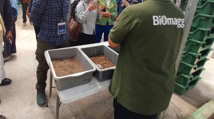 Siswa di Depok Akan Diajarkan Olah Sampah Berbasis Maggot Mulai Tahun Depan