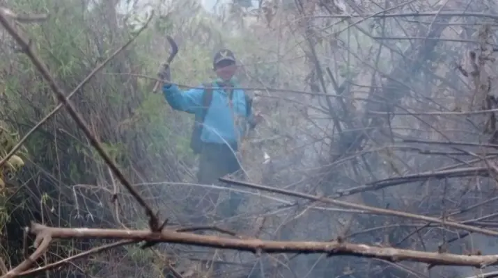 Kebakaran Hutan Gunung Butak Berhasil Dipadamkan, Jalur Pendakian Ditutup Sementara