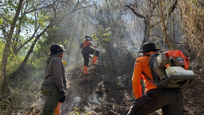 Kebakaran Hutan Semeru Belum Padam, Ribuan Hektare Kawasan Terdampak